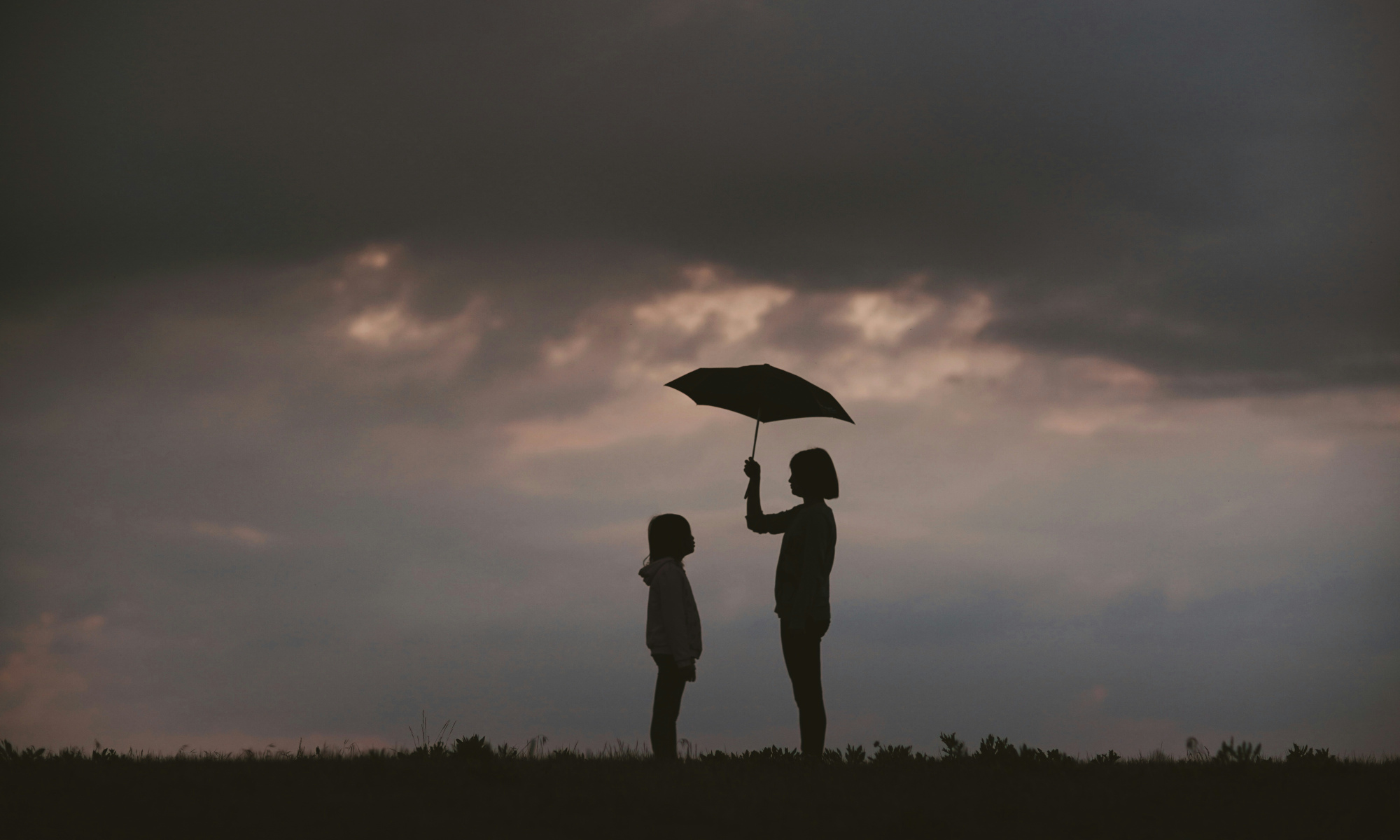 Risk insurance