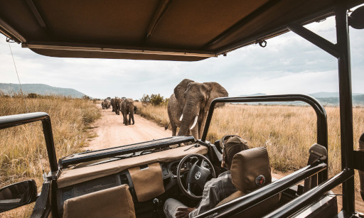 Get Your Risk Advice and Insurance Cover Today 5 Elephant car insurance